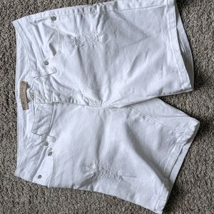 Max Studio Shorts